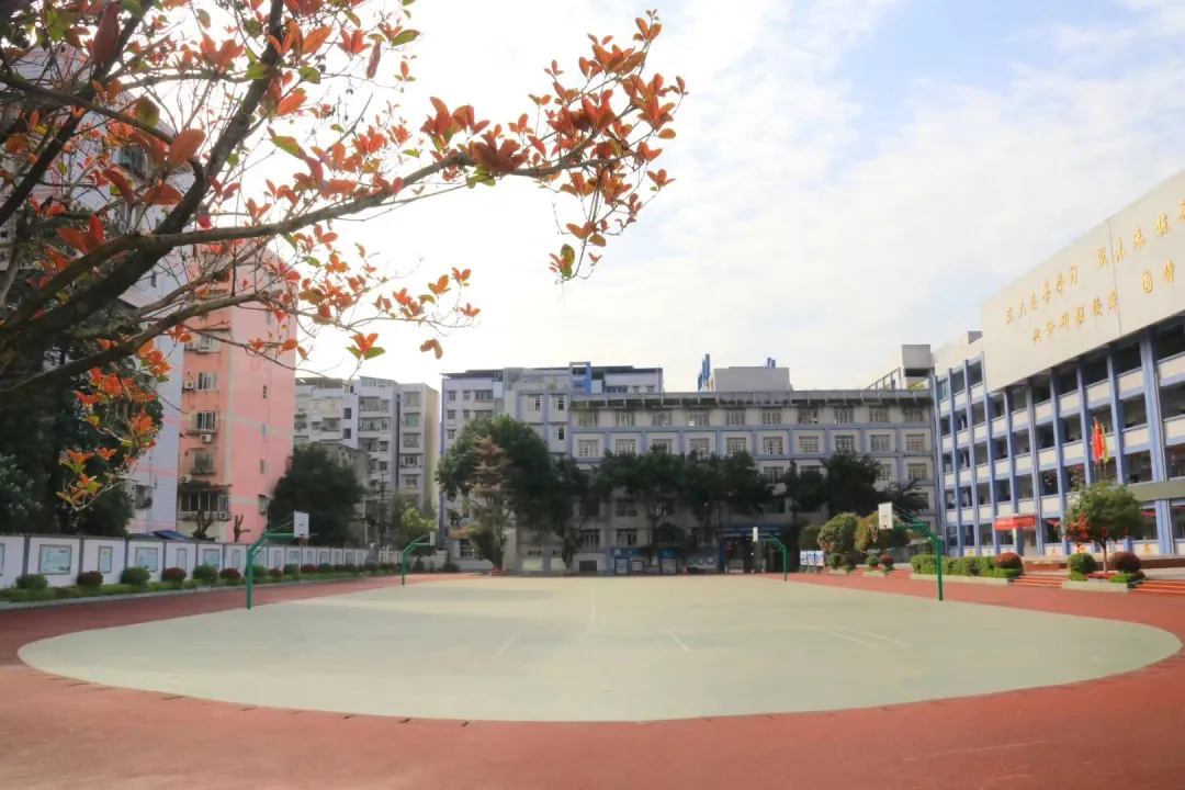 在感恩中奋进  在珍爱中成长 ——南充市西河路小学复学第一课暨青年