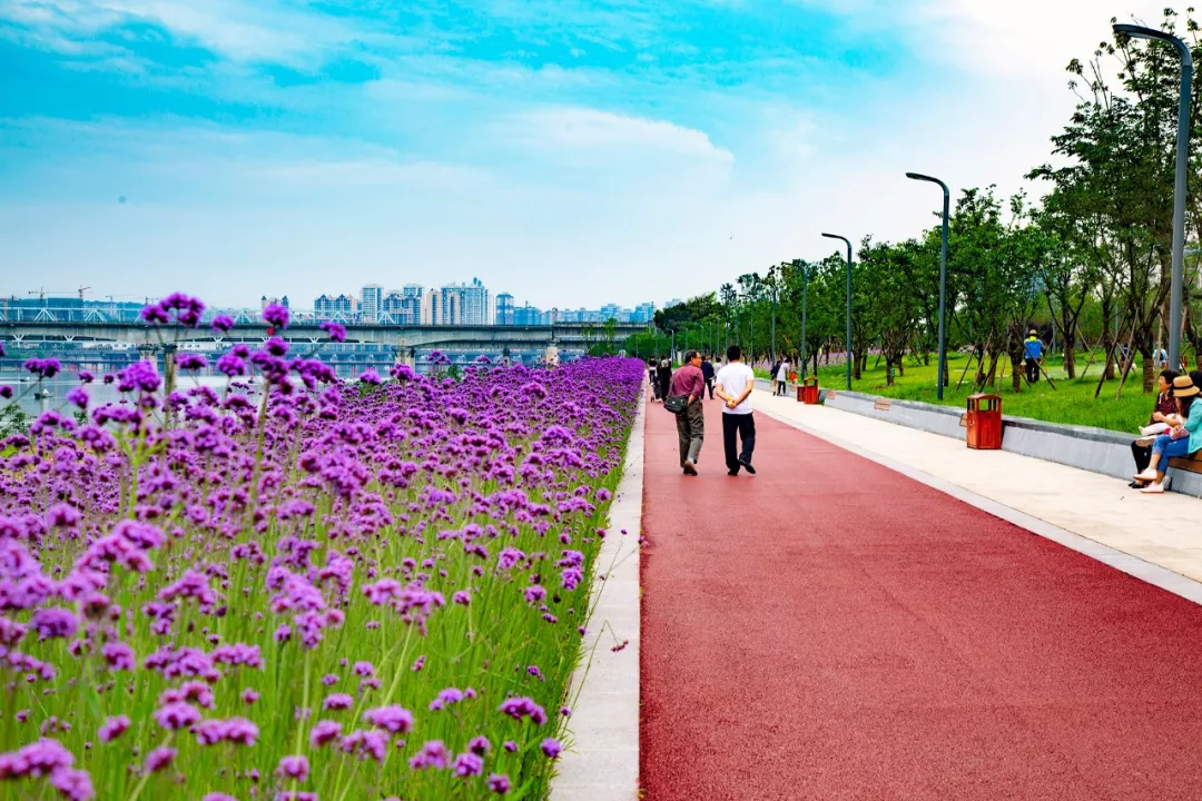 赞!双女石公园美景迎初夏,这才是南充该有的姿态