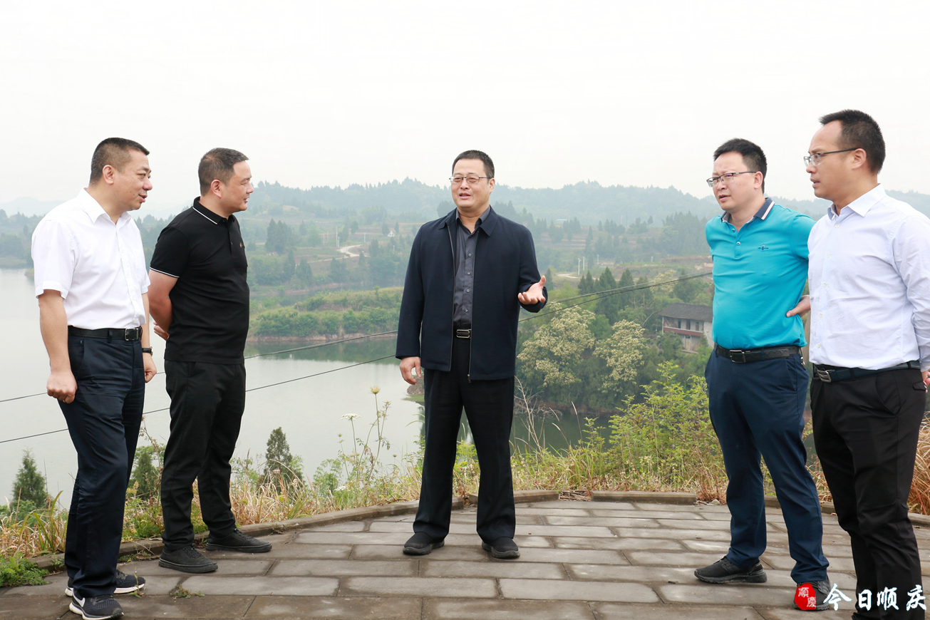 陈泽斌:坚持产业打底农旅融合 推动乡村全面振兴