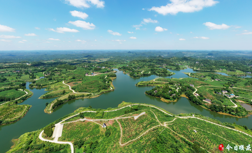 李家镇:村民家门口喜领80万土地流转金